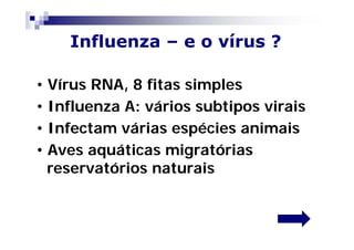 Influenza – e o vírus ?

• Vírus RNA, 8 fitas simples
• Influenza A: vários subtipos virais
• Infectam várias espécies animais
• Aves aquáticas migratórias
  reservatórios naturais
 