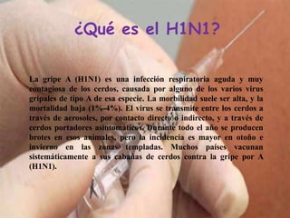 ¿Qué es el H1N1?
La gripe A (H1N1) es una infección respiratoria aguda y muy
contagiosa de los cerdos, causada por alguno de los varios virus
gripales de tipo A de esa especie. La morbilidad suele ser alta, y la
mortalidad baja (1%-4%). El virus se transmite entre los cerdos a
través de aerosoles, por contacto directo o indirecto, y a través de
cerdos portadores asintomáticos. Durante todo el año se producen
brotes en esos animales, pero la incidencia es mayor en otoño e
invierno en las zonas templadas. Muchos países vacunan
sistemáticamente a sus cabañas de cerdos contra la gripe por A
(H1N1).
 