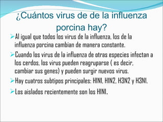 ¿ Cuántos virus de de la influenza porcina hay? Al igual que todos los virus de la influenza, los de la influenza porcina cambian de manera constante. Cuando los virus de la influenza de otras especies infectan a los cerdos, los virus pueden reagruparse ( es decir, cambiar sus genes) y pueden surgir nuevos virus. Hay cuatros subtipos principales:  H1N1, H1N2, H3N2 y H3N1. Los aislados recientemente son los  H1N1 . 