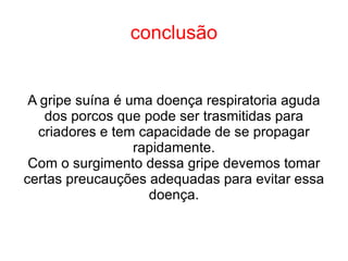 conclusão A gripe suína é uma doença respiratoria aguda dos porcos que pode ser trasmitidas para criadores e tem capacidade de se propagar rapidamente. Com o surgimento dessa gripe devemos tomar certas preucauções adequadas para evitar essa doença. 