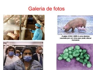 Galeria de fotos 