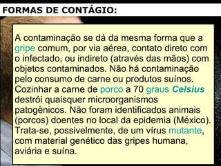 A contaminação se dá da mesma forma que a  gripe  comum, por via aérea, contato direto com o infectado, ou indireto (através das mãos) com objetos contaminados. Não há contaminação pelo consumo de carne ou produtos suínos. Cozinhar a carne de  porco  a 70  graus   Celsius  destrói quaisquer microorganismos patogênicos. Não foram identificados animais (porcos) doentes no local da epidemia (México). Trata-se, possivelmente, de um vírus  mutante , com material genético das gripes humana, aviária e suína.  FORMAS DE CONTÁGIO: 