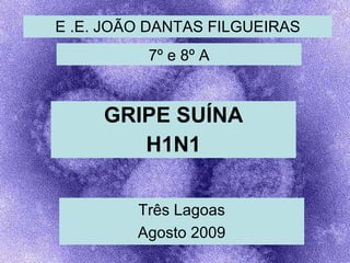 E .E. JOÃO DANTAS FILGUEIRAS GRIPE SUÍNA H1N1 Três Lagoas Agosto 2009 7º e 8º A 