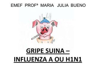 EMEF  PROFª  MARIA   JULIA  BUENO   GRIPE SUINA – INFLUENZA A OU H1N1 