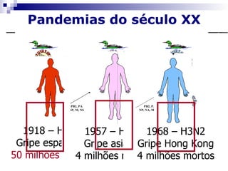 Pandemias doséculo XXXX
        Pandemias: século



       H1N1                               H2N2                                H3N?
                                                 PB1                                 PB1
                                                 HA                                  HA
                                                 NA




                              PB2, PA                         PB2, PA
                             NP, M, NS                      NP, NA, M, NS




  1918 – H1N1 1957 – H2N2 1968 – H3N2
 Gripe espanhola
               Gripe asiática
                            Gripe Hong Kong
        1918 – H1N1                        1957 – H2N2                        1968 – H3N2
       gripe espanhola                     gripe asiática                   gripe Hong Kong
      50 milhões mortos                  4 milhões mortos                   4 milhões mortos

50 milhões mortos
             4 milhões mortos
 Horimoto & Kawaoka, 2001
 Taubenberger et al., 2005  4 milhões mortos
 