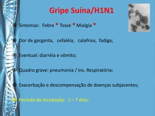 Embora chamada de gripe suína, 		nova cepa não infectou os porcosCepa geneticamente diferente		do vírus da influenza sazonal H1N1 (humano)			tem circulado pelo mundo nos últimos anos O novo vírus contém DNA típico de		vírus humanos, aviários e suínos(europeus e asiáticos)