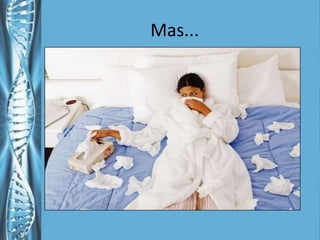 CONTENÇÃO DE UMA PANDEMIA: EVIDÊNCIAS DE MODELOS#1#2casosx diaDias desde o primeiro casoOAS Seminar on Avian Influenza - November 20071.  Atrasar a transmissão e o  pico epidêmico2.  Descomprimir a pressão da demanda dos serviços de saúde3.  Diminuir o número de casos e demais impactos nos sistemas de saúdePandemia de influenza:Sem intervençãoPandemia de influenza:intervenção#3