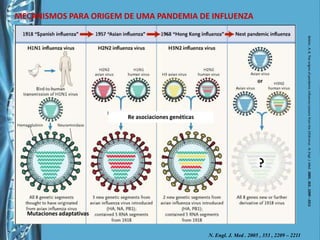 MECANISMOS PARA ORIGEM DE UMA PANDEMIA DE INFLUENZARe asociaciones genéticasBelshe , R. B. The origins of pandemic influenza-Lessons from the 1918 virus . N. Engl. J. Med . 2005 , 353 , 2209 – 2211Mutaciones adaptativasN. Engl. J. Med . 2005 , 353 , 2209 – 2211