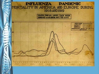 Gripe Suína Paraná- Brasil