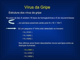 Vírus da Gripe Estrutura dos vírus da gripe Na gripe de tipo A existem 16 tipos de hemaglutininas e 9 de neuramindases … os sub-tipos possíveis serão pois 9 x 16 = 144 !!  Só um pequeno nº tinha sido detectado no homem: A ( H1N1 ) A ( H2N2 ) A ( H3N2 ) Nos últimos anos foram descobertos novos sub-tipos entre as doenças humanas: A ( H5N1  ) A ( H7N7 ) A ( H9N2 ) 