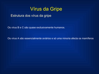 Vírus da Gripe Estrutura dos vírus da gripe Os vírus B e C são quase exclusivamente humanos. Os vírus A são essencialmente aviários e só uma minoria afecta os mamíferos 