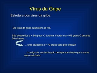 Vírus da Gripe Estrutura dos vírus da gripe Os vírus da gripe subsistem ao frio. São destruídos a + 56 graus C durante 3 horas e a + 63 graus C durante 30 minutos… … uma cozedura a + 70 graus será pois eficaz!! … o perigo de  contaminação desaparece desde que a carne seja cozinhada  