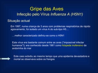 Gripe das Aves Infecção pelo Vírus  Influenza A (H5N1) Situação actual Em 1997, numa criança de 3 anos com problemas respiratórios de rápido agravamento, foi isolado um vírus A do sub-tipo H5… … melhor caracterizado definiu-se como o H5N1 Este vírus era bastante comum entre as aves (“impossível infectar humanos”!); era conhecido desde 1961 como  hóspede inofensivo  da andorinha do mar Este caso eclodiu ao mesmo tempo que uma epidemia devastadora e mortal se observava sobre os frangos 