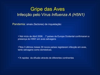 Gripe das Aves Infecção pelo Vírus  Influenza A (H5N1) Pandemia :  sinais (factores) de inquietação: Até início de Abril 2006….7 países da Europa Ocidental confirmaram a presença do H5N1 em aves selvagens  Nos 3 últimos meses 30 novos países registaram infecção em aves, tanto selvagens como domésticas. A rapidez  da difusão através de diferentes continentes 