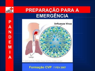 PANDEMIA PREPARAÇÃO PARA A EMERGÊNCIA NAS EMPRESAS Formação CVP  7 FEV 2007 