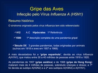 Gripe das Aves Infecção pelo Vírus  Influenza A (H5N1) Resumo histórico O sindroma originado pelos vírus influenza tem sido referenciado: Século XX  3 grandes pandemias, todas originadas por animais (suínos em 1918 e aves em 1957 e 1968) A mais devastadora foi a “ gripe espanhola ”, devida ao vírus  Influenza   A(H1N1) , que matou entre 30 a 40 milhões de pessoas entre 1918 e 1920. As pandemias de 1957 ( gripe asiática ) e de 1968 ( gripe de Hong Kong ) mataram mais de 4 milhões de pessoas, sobretudo crianças e idosos; a 1ª foi devida ao subtipo A(H2N2) e a 2ª aos subtipos A(H3N3) e A(H1N1). 412  A.C  Hipócrates  1ª Referência 1580  1ª descrição completa de uma pandemia gripal 