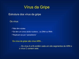Vírus da Gripe Estrutura dos vírus da gripe Os vírus: Não têm núcleo Só têm um único ácido nucleico…ou DNA ou RNA Replicam-se por “parasitismo” … Os vírus A e B contêm cada um oito segmentos de ARN e o vírus C contem sete. Os vírus da gripe são vírus ARN… 
