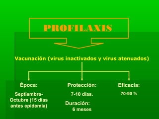 PROFILAXIS
Vacunación (virus inactivados y virus atenuados)
Época:
Septiembre-
Octubre (15 días
antes epidemia)
Protección:
7-10 días.
Duración:
6 meses
Eficacia:
70-90 %
 