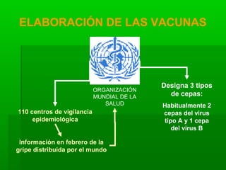 ELABORACIÓN DE LAS VACUNAS
Designa 3 tipos
de cepas:
Habitualmente 2
cepas del virus
tipo A y 1 cepa
del virus B
110 centros de vigilancia
epidemiológica
Información en febrero de la
gripe distribuida por el mundo
ORGANIZACIÓN
MUNDIAL DE LA
SALUD
 