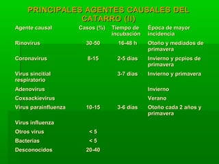 PRINCIPALES AGENTES CAUSALES DELPRINCIPALES AGENTES CAUSALES DEL
CATARRO (II)CATARRO (II)
Agente causalAgente causal Casos (%)Casos (%) Tiempo deTiempo de
incubaciónincubación
Época de mayorÉpoca de mayor
incidenciaincidencia
RinovirusRinovirus 30-5030-50 16-48 h16-48 h Otoño y mediados deOtoño y mediados de
primaveraprimavera
CoronavirusCoronavirus 8-158-15 2-5 días2-5 días Invierno y pcpios deInvierno y pcpios de
primaveraprimavera
Virus sincitialVirus sincitial
respiratoriorespiratorio
3-7 días3-7 días Invierno y primaveraInvierno y primavera
AdenovirusAdenovirus InviernoInvierno
CoxsackievirusCoxsackievirus VeranoVerano
Virus parainfluenzaVirus parainfluenza 10-1510-15 3-6 días3-6 días Otoño cada 2 años yOtoño cada 2 años y
primaveraprimavera
Virus influenzaVirus influenza
Otros virusOtros virus < 5< 5
BacteriasBacterias < 5< 5
DesconocidosDesconocidos 20-4020-40
 