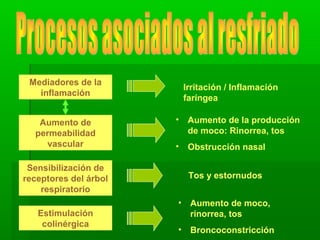 Mediadores de la
inflamación
Aumento de
permeabilidad
vascular
Sensibilización de
receptores del árbol
respiratorio
Estimulación
colinérgica
Irritación / Inflamación
faríngea
• Aumento de la producción
de moco: Rinorrea, tos
• Obstrucción nasal
Tos y estornudos
• Aumento de moco,
rinorrea, tos
• Broncoconstricción
 