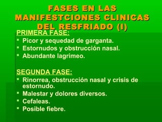 FASES EN LASFASES EN LAS
MANIFESTCIONES CLINICASMANIFESTCIONES CLINICAS
DEL RESFRIADO (I)DEL RESFRIADO (I)
PRIMERA FASE:
 Picor y sequedad de garganta.
 Estornudos y obstrucción nasal.
 Abundante lagrimeo.
SEGUNDA FASE:
 Rinorrea, obstrucción nasal y crisis de
estornudo.
 Malestar y dolores diversos.
 Cefaleas.
 Posible fiebre.
 