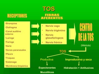 TOSTOS
•Bronquios
•Diafragma
•Canal auditivo
externo
•Laringe
•Faringe
•Nariz
•Senos paranasales
•Pleura
•Traquea
•Estómago
•Membrana timpánica
• Nervio vago
• Nervio trigémino
• Nervio
glosofaríngeos
• Nervio frénico
(Médula)
TOS
Productiva Improductiva y seca
Hidratación + AntitusivosExpectorantes
Mucolíticos
 