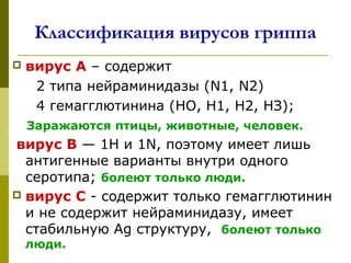 Классификация вирусов гриппа
 вирус А – содержит 
     2 типа нейраминидазы (N1, N2) 
     4 гемагглютинина (НО, H1, H2, НЗ);
   Заражаются птицы, животные, человек.
вирус В — 1Н и 1N, поэтому имеет лишь  
антигенные варианты внутри одного 
серотипа; болеют только люди.
 вирус С - содержит только гемагглютинин 
и не содержит нейраминидазу, имеет 
стабильную Аg структуру,  болеют только
люди.
 