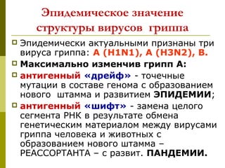 Эпидемическое значение
структуры вирусов гриппа
 Эпидемически актуальными признаны три
вируса гриппа: А (Н1N1), А (Н3N2), В.
 Максимально изменчив грипп А:
 антигенный «дрейф» - точечные
мутации в составе генома с образованием
нового штамма и развитием ЭПИДЕМИИ;
 антигенный «шифт» - замена целого
сегмента РНК в результате обмена
генетическим материалом между вирусами
гриппа человека и животных с
образованием нового штамма –
РЕАССОРТАНТА – с развит. ПАНДЕМИИ.
 