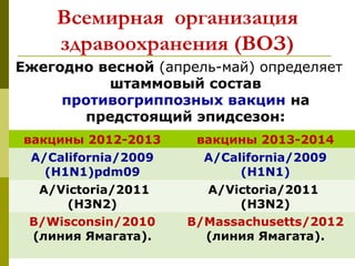 Всемирная организация
здравоохранения (ВОЗ)
Ежегодно весной (апрель-май) определяет
штаммовый состав
противогриппозных вакцин на
предстоящий эпидсезон:
вакцины 2012-2013 вакцины 2013-2014
А/California/2009
(H1N1)pdm09
A/California/2009
(H1N1)
A/Victoria/2011
(H3N2)
A/Victoria/2011
(H3N2)
B/Wisconsin/2010
(линия Ямагата).
B/Massachusetts/2012
(линия Ямагата).
 
