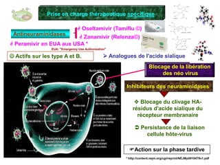 Signes de gravité *Enfants  Nourrissons < 6 mois: difficultés alimentaires (1/2 des biberons sur 12 h) Tolérance clinique médiocre de la fièvre malgré des mesures adaptées Signes de déshydratation aiguë Troubles de la vigilance Signes de détresse respiratoire, apnées Âge < 3 moisAdultes  Troubles de la vigilance, désorientation, confusion PA systolique < 90mmHg Hypothermie (T°<35°C) Hyperthermie résistante aux antipyrétiques Fréquence respiratoire > 30/mn Fréquence cardiaque > 120/mn* http://www.sfmu.org/fr/services/grippeporcine#gravite