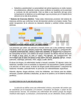  Soberbia y grandiosidad: La personalidad del adicto regresiona en cierta manera
a la adolescencia, aflorando muchas veces conflictos no resuletos con la autoridad
y, conducta de reto permanente. Esto se debe a una hipertrofia del ego como
compensacion al deterioro en la autoimagen que se produce por el impacto de la
adiccion en la vida de la persona.
* Sistema de Creencias Adictivo. Todas estas distorsiones provienen del sistema de
creencias adictivo que conforman la raíz del desorden adictivo en el plano mental. Para
poder recuperarse de la adiccion es necesario detectar y cambiar dichas creencias
adictivas.
Imagen. Ciclo de la Adiccion
CONSECUENCIAS MEDICAS DE LAS ADICCIONES
Las personas que sufren una adicción a menudo tienen uno o dos problemas médicos
asociados, entre los que podemos mencionar: enfermedad pulmonar o cardiovascular,
accidente cerebrovascular, cáncer y trastornos mentales. El diagnóstico por imágenes,
las radiografías de tórax y los análisis de sangre muestran los efectos nocivos del abuso
de drogas a largo plazo en todo el cuerpo. Por ejemplo, las investigaciones han
demostrado que el humo de tabaco causa cáncer de boca, garganta, laringe, sangre,
pulmones, estómago, páncreas, riñón, vejiga y cuello uterino.
El abuso de drogas y la enfermedad mental a menudo coexisten. En algunos casos, los
trastornos mentales como la ansiedad, la depresión o la esquizofrenia pueden preceder
a la adicción; en otros casos, el abuso de drogas puede desencadenar o exacerbar los
trastornos mentales, particularmente en personas con vulnerabilidades específicas.
Además, algunas drogas adictivas, como los inhalantes, son tóxicas para las células
nerviosas y pueden dañarlas o destruirlas, ya sea en el cerebro o en el sistema nervioso
periférico.
LA ADICCION EN UN PLAN NEUROLOGICO
La adicción se define como una enfermedad crónica y recurrente del cerebro que
se caracteriza por la búsqueda y el consumo compulsivo de drogas, a pesar de sus
consecuencias nocivas. Se considera una enfermedad del cerebro porque las drogas
modifican este órgano: su estructura y funcionamiento se ven afectados. Estos cambios
USO
ADICTIVO
GRATIFICACION A
CORTO PLAZO
SUFRIMIENTO A
LARGO PLAZO Y
DISFUNCIÓN
PENSAMIENTO ADICTIVO
INCREMENTO DE
LA TOLERANCIA
PERDIDA DE
CONTROL
DAÑO BIO-PSICO-
SOCIAL
ACEPTACION DE LA
ENFERMADAD
RECAIDA
 