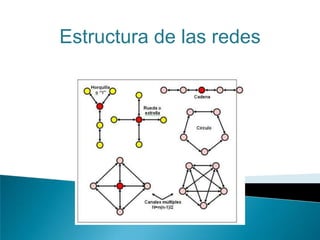 Estructura de las redes
 