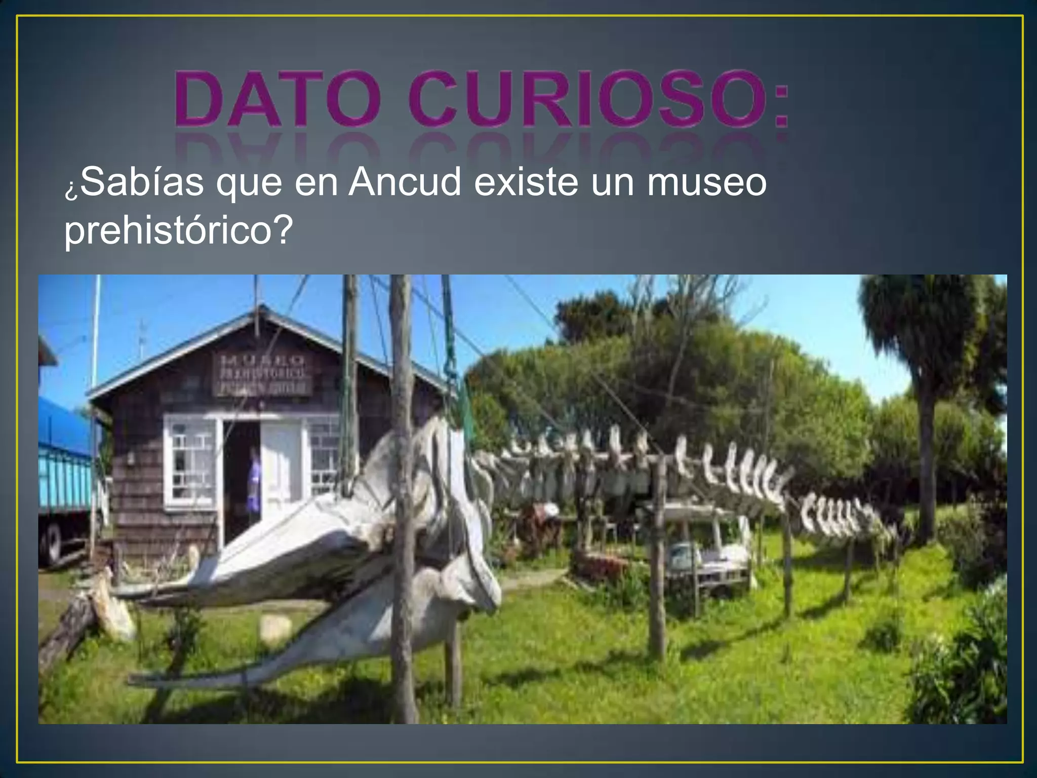 ¿Sabías que en Ancud existe un museo
prehistórico?
 
