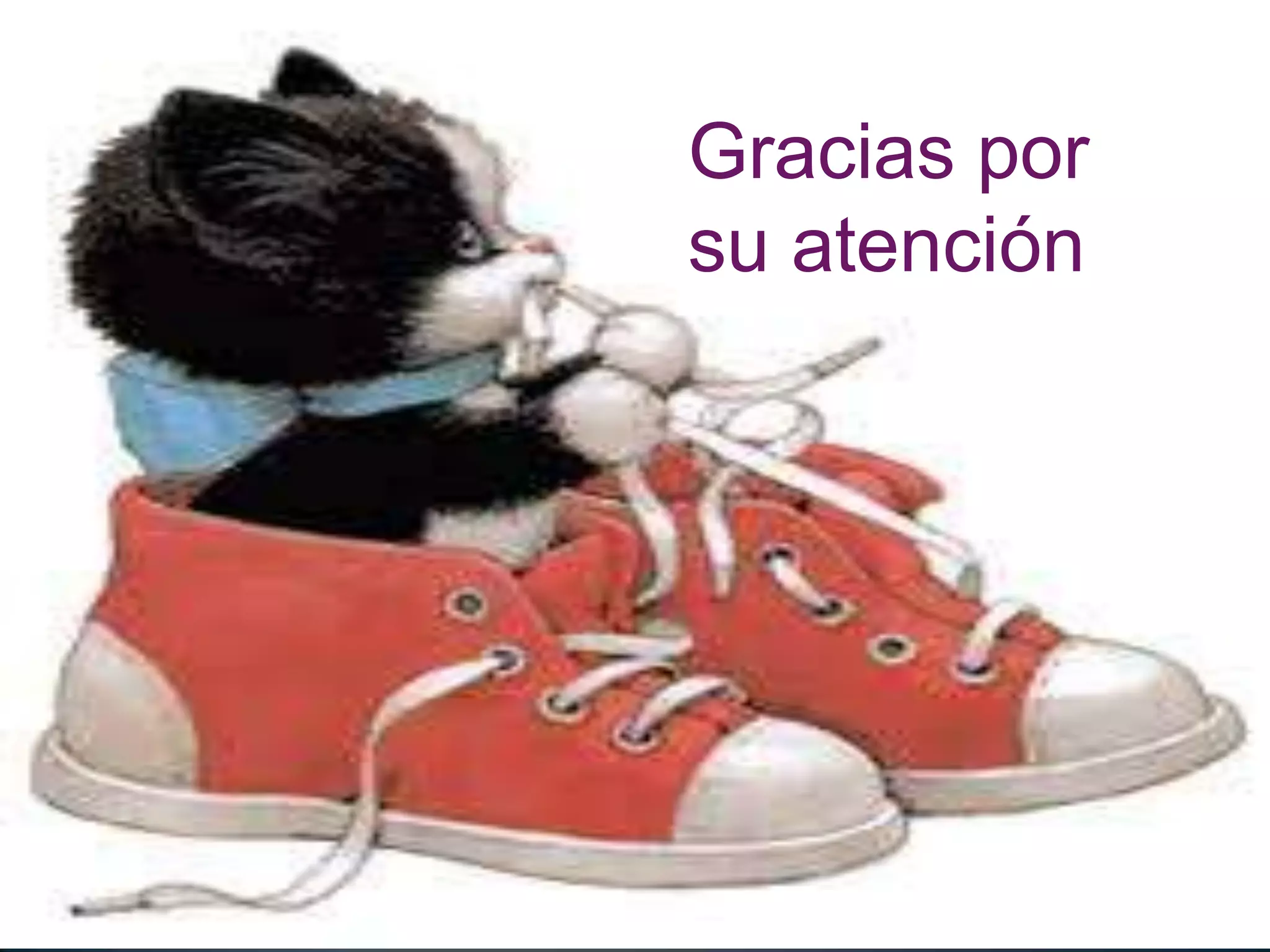 Gracias por
su atención
 