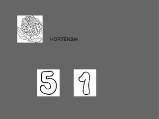 HORTÈNSIA