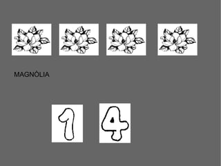 MAGNÒLIA