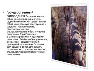• Государственный
заповедник Сатаплия являет
собой разнообразный и очень
редкий памятник. Он представляет
собой комплексную конструкцию и
содержит геологические,
палеонтологические,
спелеологические и ботанические
памятники. Гора Сатаплия
знаменита редкими и красивыми
пещерами. Там был обнаружен след
динозавра. Государственный
природный заповедник Сатаплия
был создан в 1935г. Для защиты
геологических, палеонтологических,
спелеологических и ботанических
памятников.
 