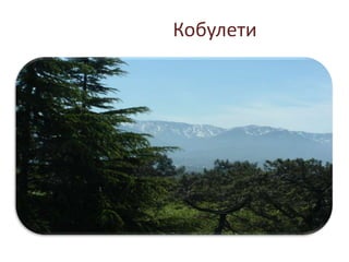 Кобулети
 