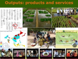 GRiSP - Presentation for Discussion with Donors and Partners - June 2013