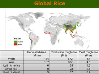 GRiSP - Presentation for Discussion with Donors and Partners - June 2013
