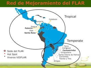 GRiSP - Presentation for Discussion with Donors and Partners - June 2013