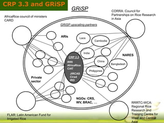 GRiSP - Presentation for Discussion with Donors and Partners - June 2013