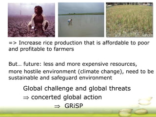 GRiSP - Presentation for Discussion with Donors and Partners - June 2013