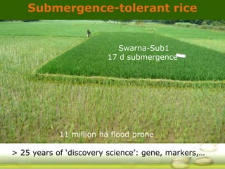 GRiSP - Presentation for Discussion with Donors and Partners - June 2013