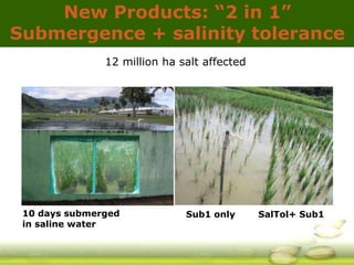 GRiSP - Presentation for Discussion with Donors and Partners - June 2013