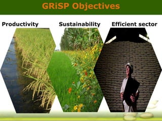 GRiSP - Presentation for Discussion with Donors and Partners - June 2013