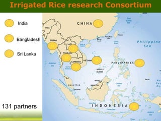 GRiSP - Presentation for Discussion with Donors and Partners - June 2013