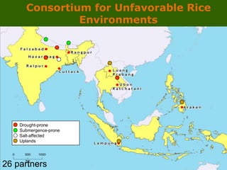 GRiSP - Presentation for Discussion with Donors and Partners - June 2013