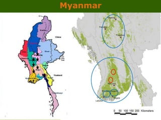 GRiSP - Presentation for Discussion with Donors and Partners - June 2013